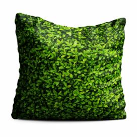 Zelený polštář Oyo home Ivy, 40 x 40 cm Bonami.sk