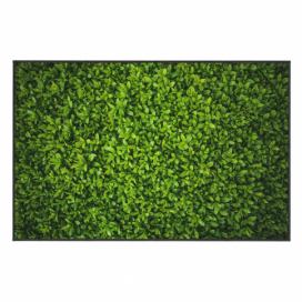 Zelený koberec Oyo home Ivy, 100 x 140 cm Bonami.sk