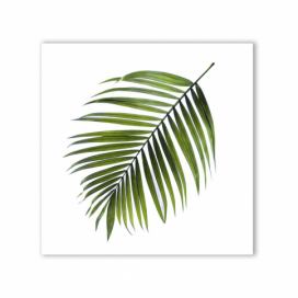 Obraz Styler Canvas Greenery Black Palm, 32 x 32 cm Bonami.sk