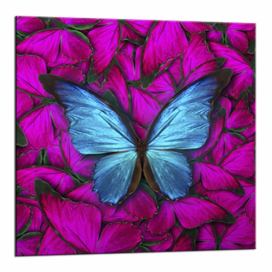 Obraz Styler Glasspik Red Butterfly, 20 × 20 cm Bonami.sk