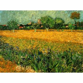 Reprodukcia obrazu Vincenta van Gogha - View of arles with irisos in the foreground, 40 × 30 cm Bonami.sk