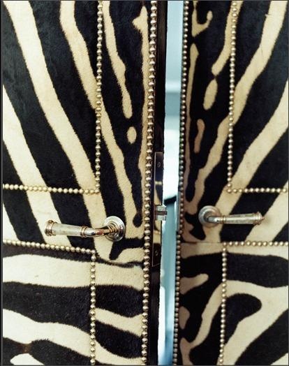 Dvere s dekorom zebra - 