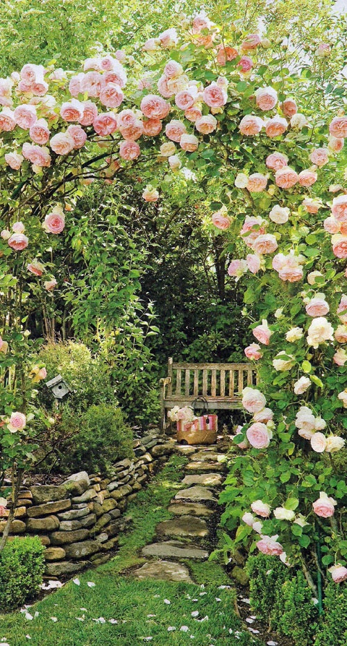 Zákoutí v záhrade - 