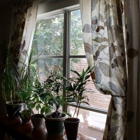 okno Kamila Zedníčková