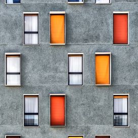 farebné okná Kamila Zedníčková
