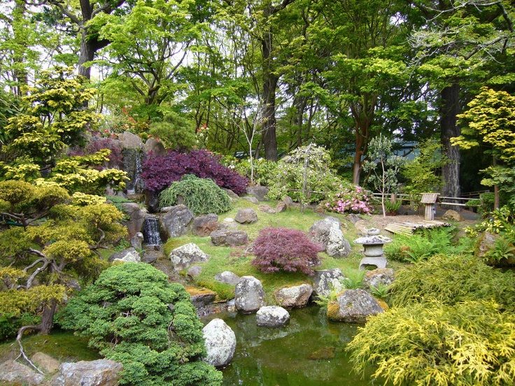 Ázijské Záhradné jazierko s kameňmi - 