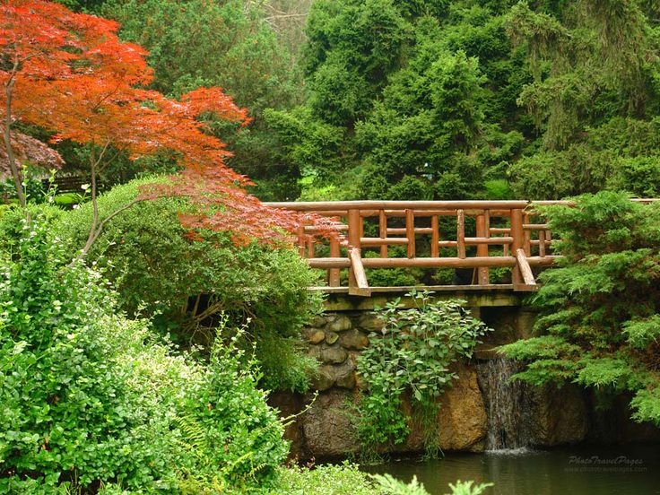 Most na záhrade - 