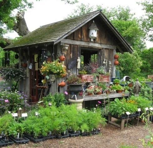 Starý záhradný altánok - 