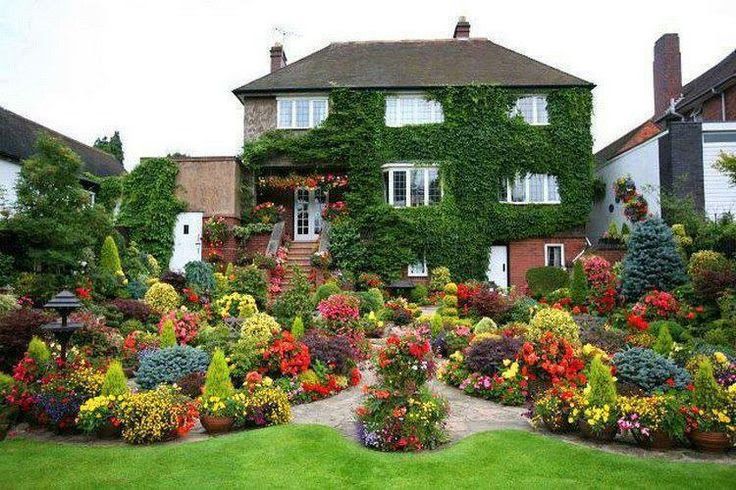 Naozaj farebná záhradka pred domom - 