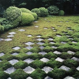 Záhrada Minimalisticka