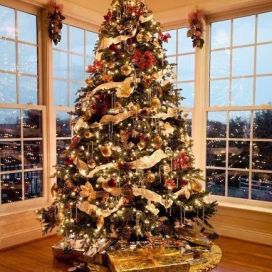Obdivujete krásne a pravidelné vianočné stromčeky? Vieme, ako vznikajú. (Video)