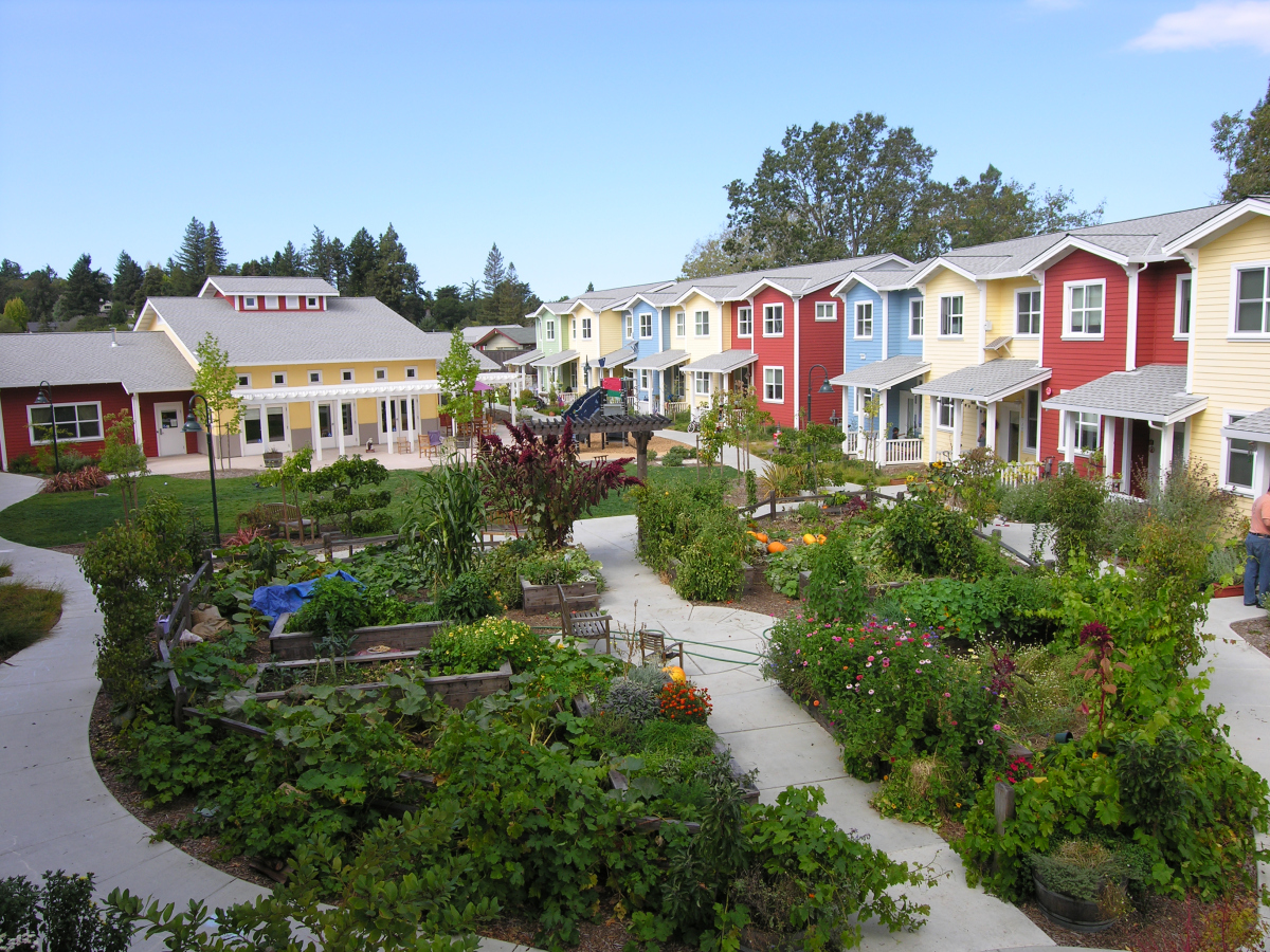 Petaluma ave homes cohousing - 