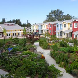 Petaluma ave homes cohousing 