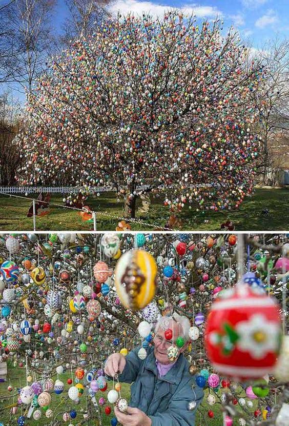 Tisíce veľkonočných vajíčok na strome - 