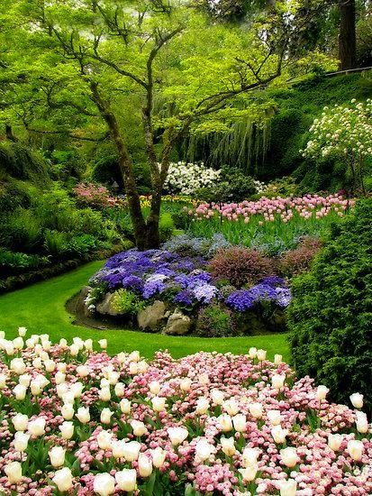 Záhrada v plnom kvete - 