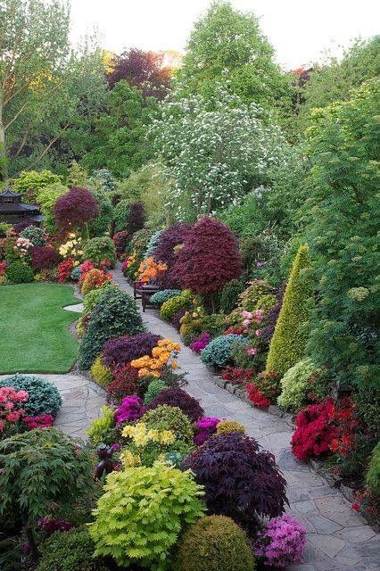 farebná záhrada - 