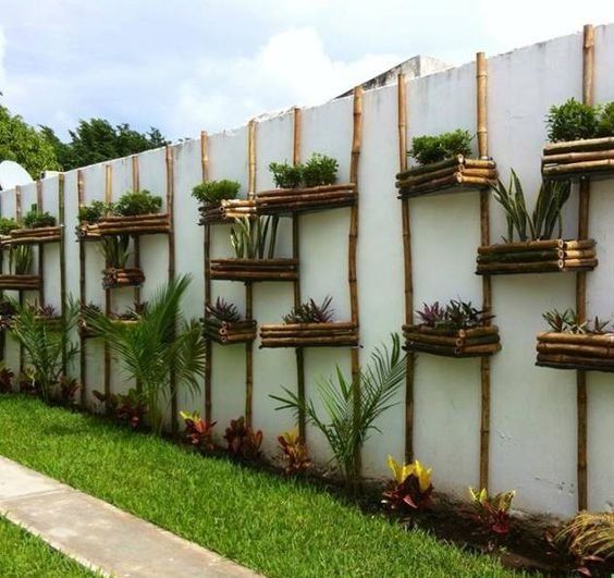 Vertikálne záhrada na plote - 