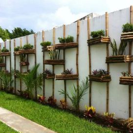 Vertikálne záhrada na plote