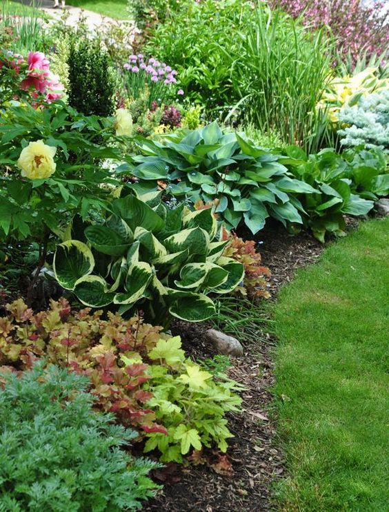 Bohatý záhradné záhon - 