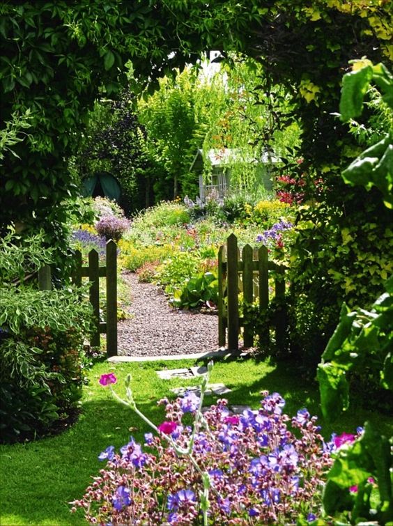 okrasná záhrada - 