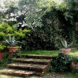 Schody na záhrade Jana Grisanti