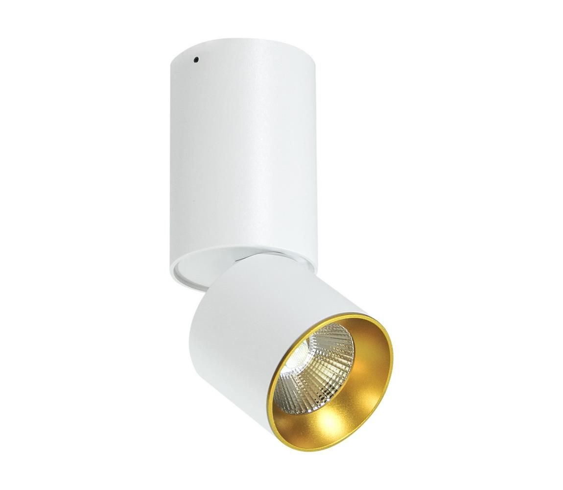  LED Stropné bodové svietidlo LED/10W/230V  - Svet-svietidiel.sk