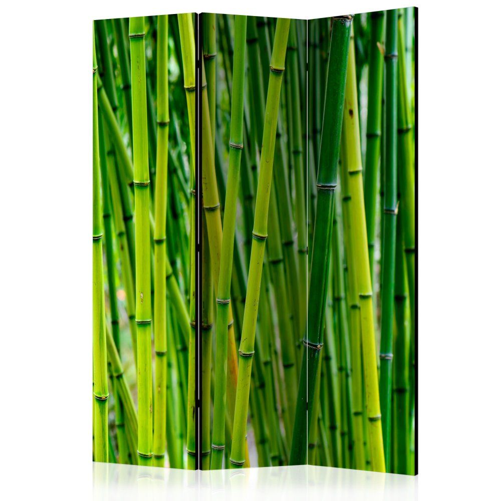 Paraván Bamboo Forest Dekorhome 135x172 cm (3-dielny) - dekorhome.sk