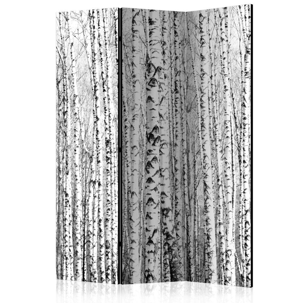 Paraván Birch forest Dekorhome 135x172 cm (3-dielny) - dekorhome.sk