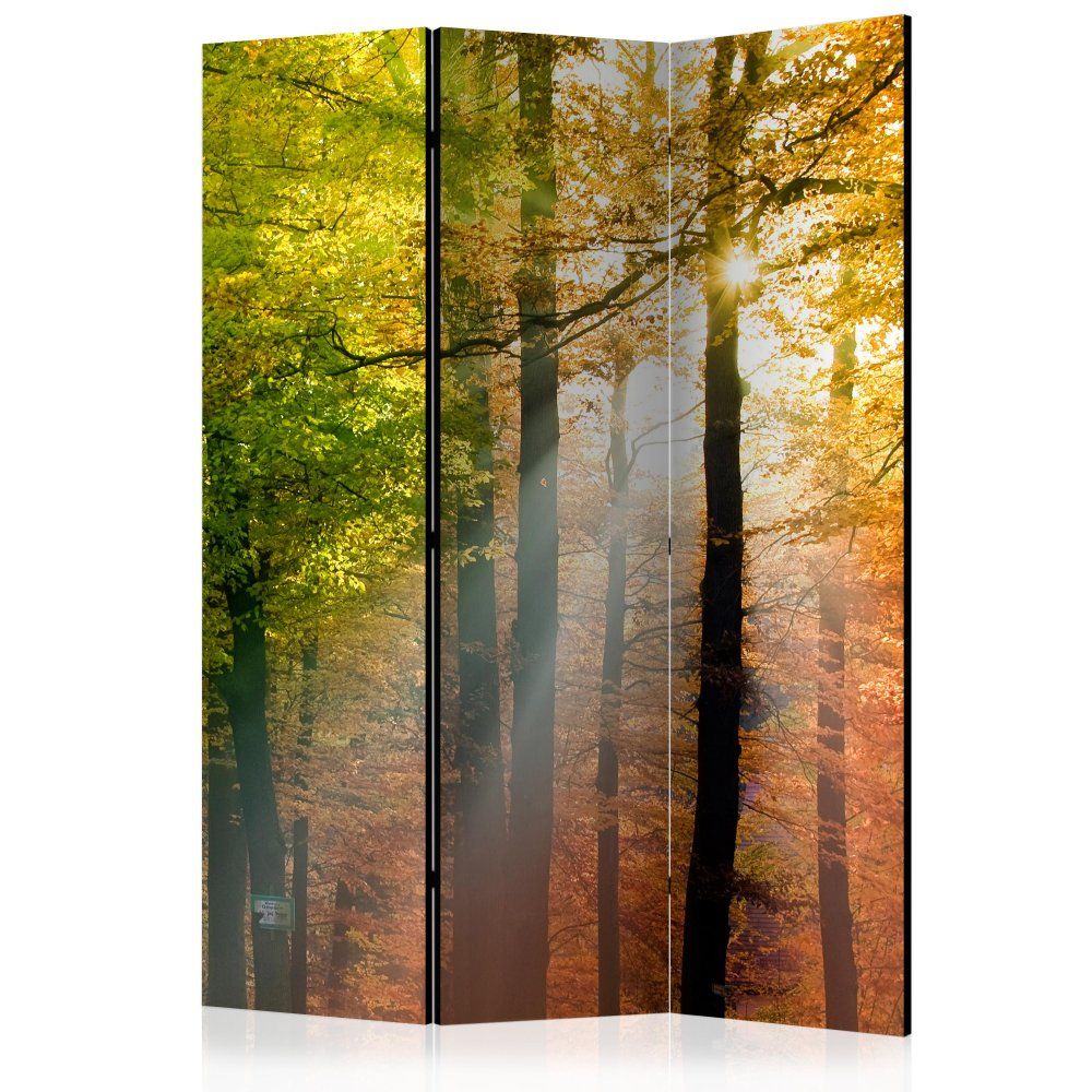 Paraván Forest Colours Dekorhome 135x172 cm (3-dielny) - dekorhome.sk