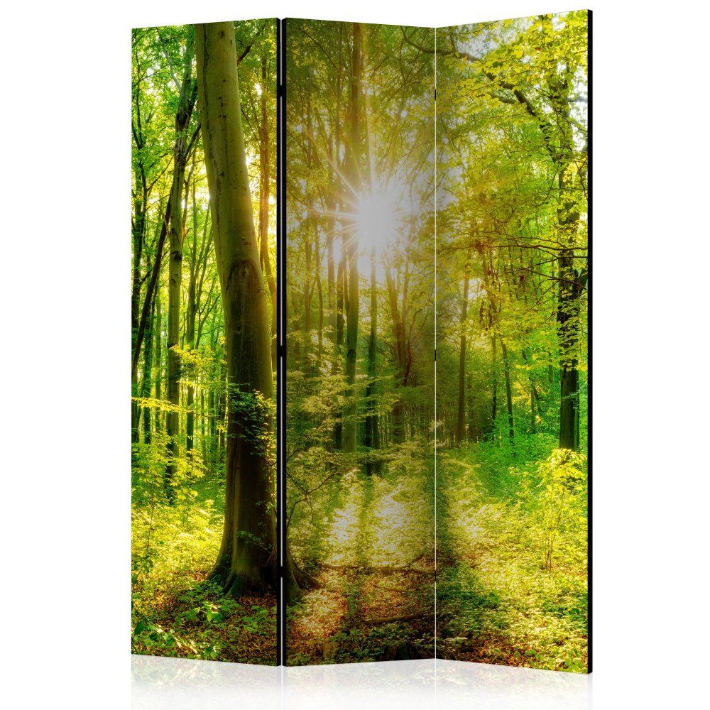 Paraván Forest Rays Dekorhome 135x172 cm (3-dielny) - dekorhome.sk