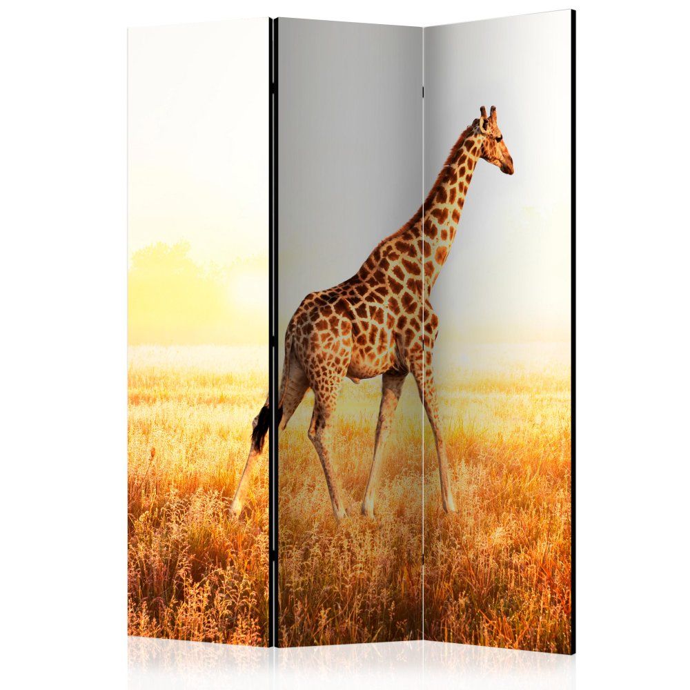 Paraván giraffe - walk Dekorhome 135x172 cm (3-dielny) - dekorhome.sk