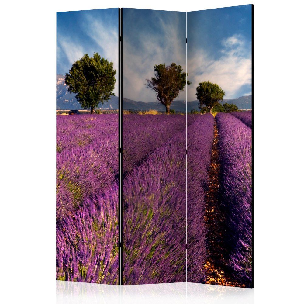 Paraván Lavender field in Provence, France Dekorhome 135x172 cm (3-dielny) - dekorhome.sk