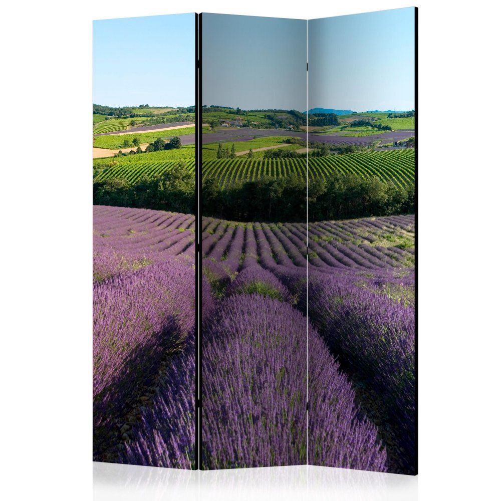 Paraván Lavender fields Dekorhome 135x172 cm (3-dielny) - dekorhome.sk