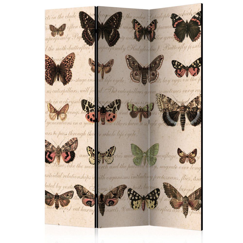 Paraván Retro Style: Butterflies Dekorhome 135x172 cm (3-dielny) - dekorhome.sk