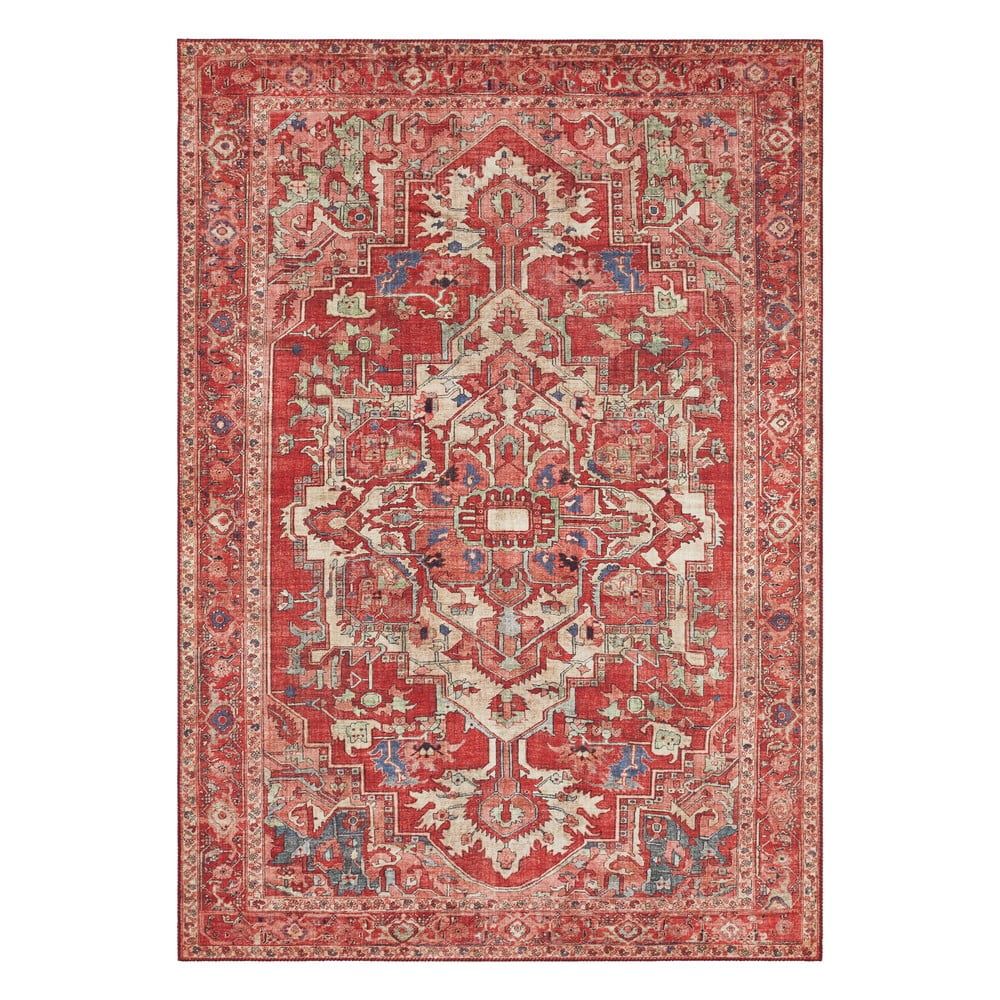 Červený koberec Nouristan Leta, 80 x 150 cm - Bonami.sk