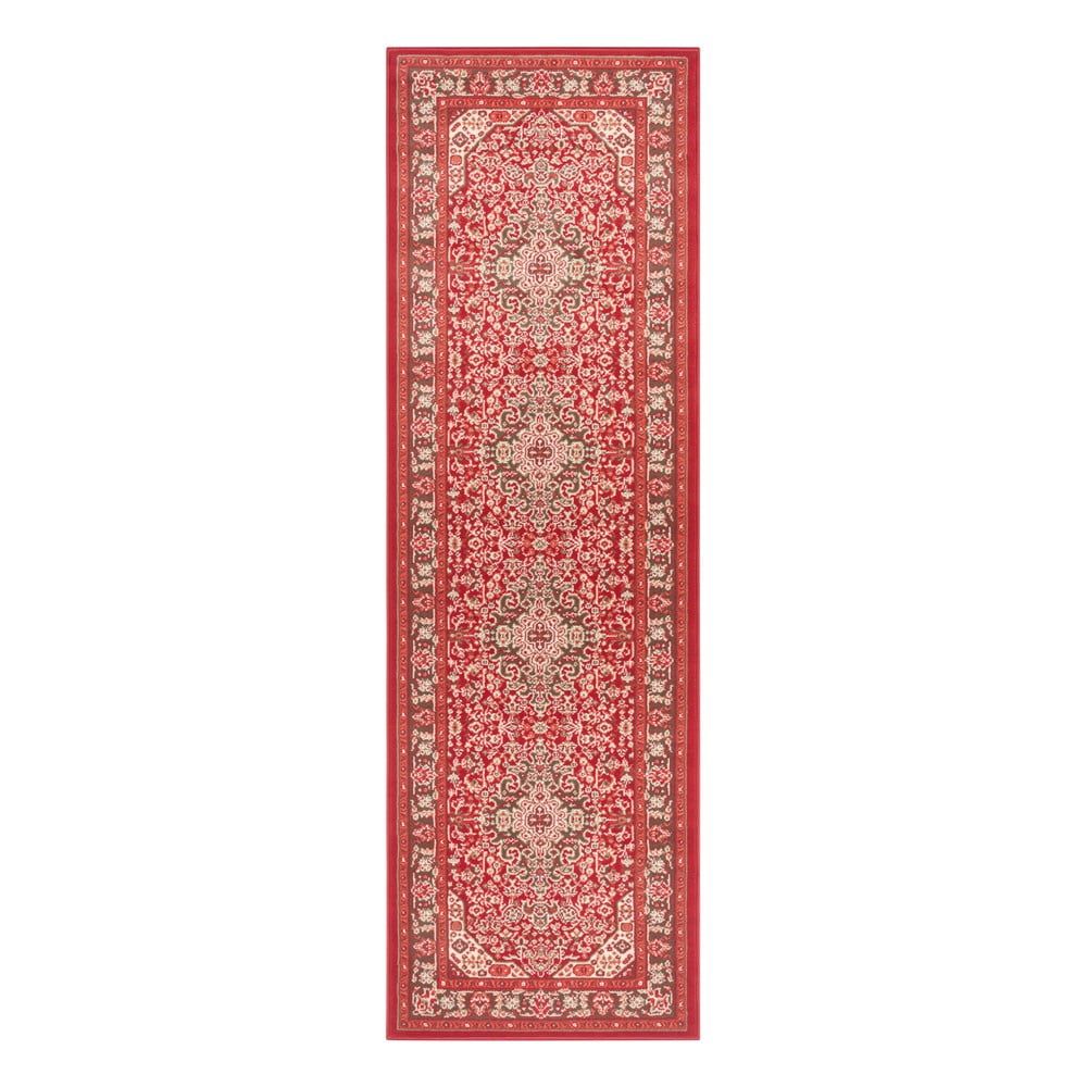 Svetločervený koberec Nouristan Skazar Isfahan, 80 x 250 cm - Bonami.sk