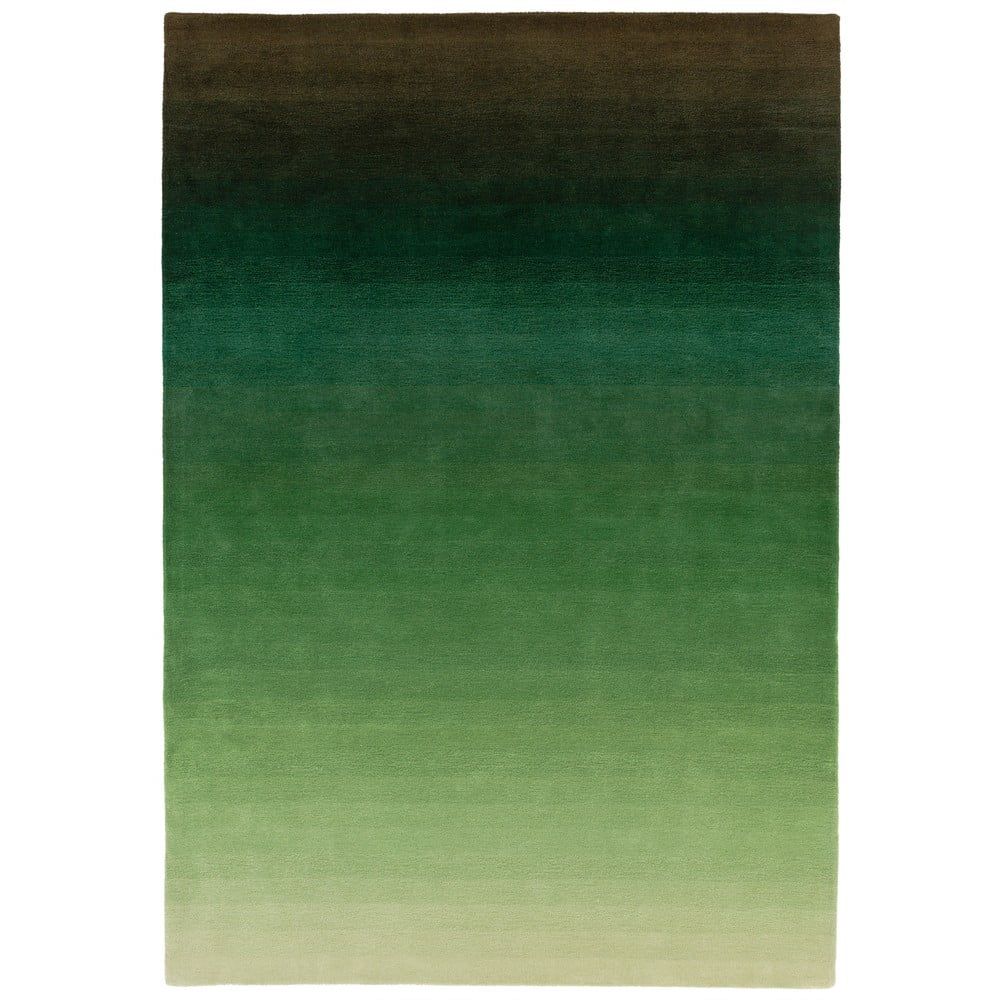 Zeleno-sivý koberec Asiatic Carpets Ombre, 120 x 170 cm - Bonami.sk