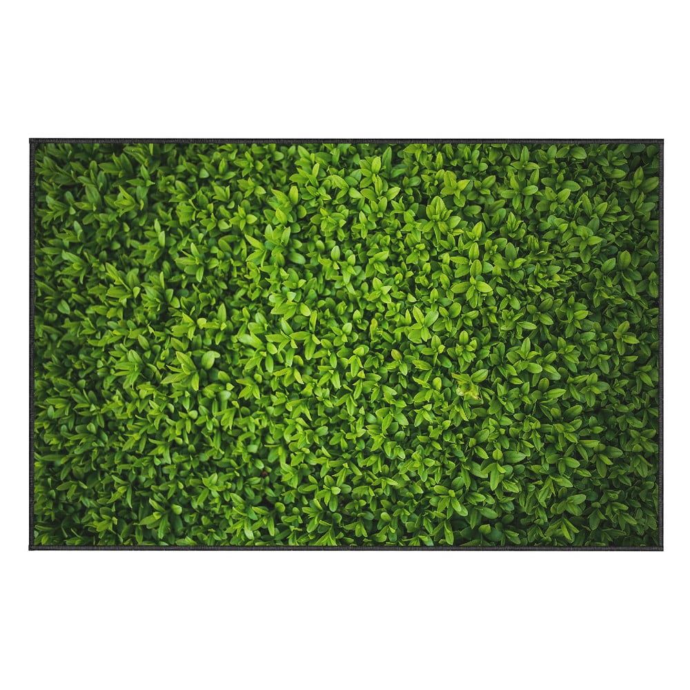 Zelený koberec Oyo home Ivy, 100 x 140 cm - Bonami.sk