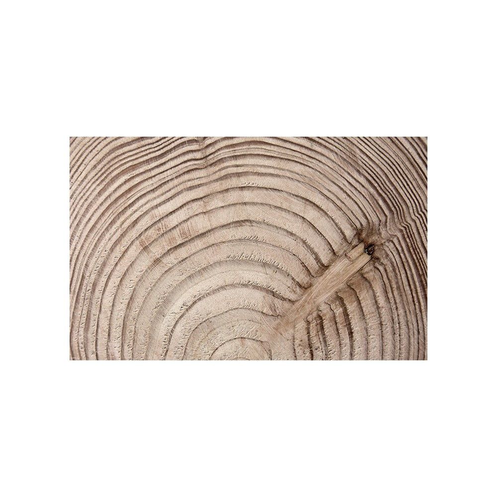 Veľkoformátová tapeta Bimago Wood Grainl, 400 × 280 cm - Bonami.sk