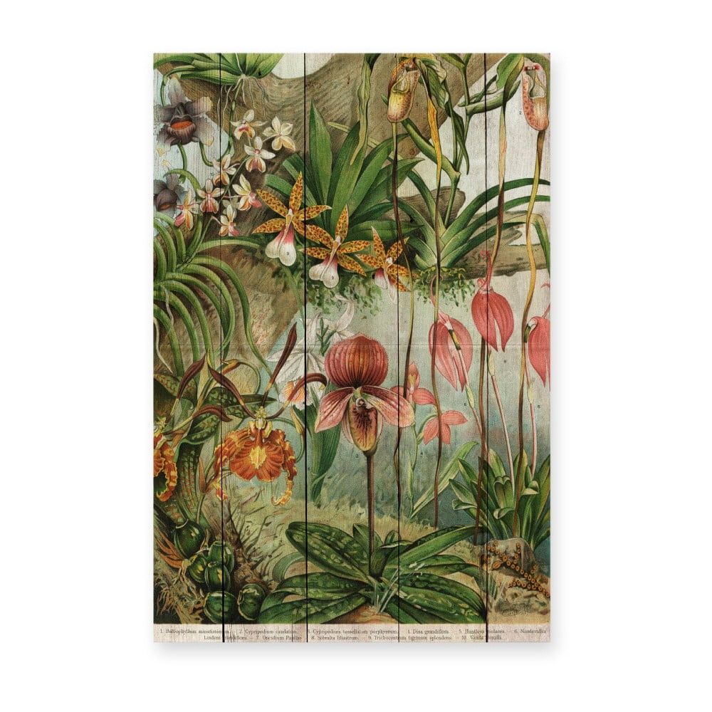 Nástenná dekorácia z borovicového dreva Madre Selva Jungle Flowers, 60 × 40 cm - Bonami.sk