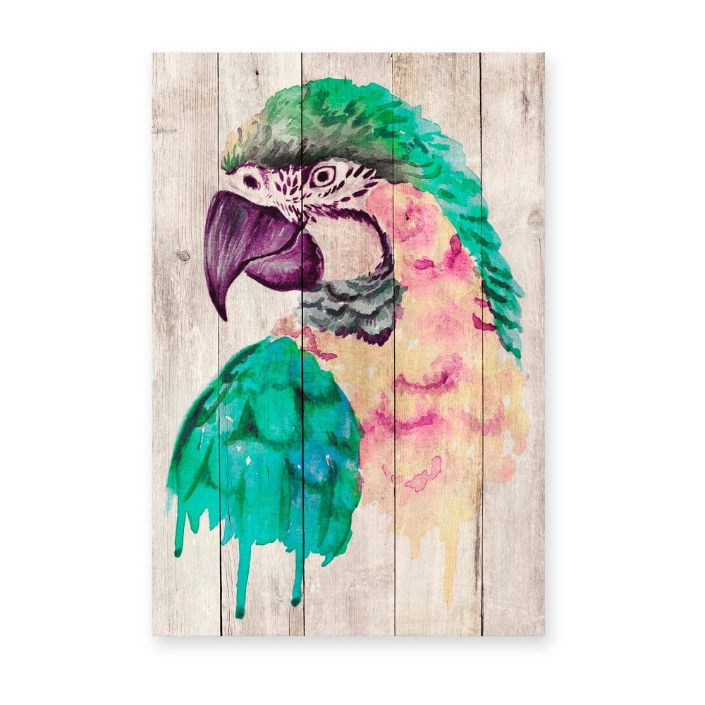 Nástenná dekorácia z borovicového dreva Madre Selva Watercolor Parrot, 60 × 40 cm - Bonami.sk