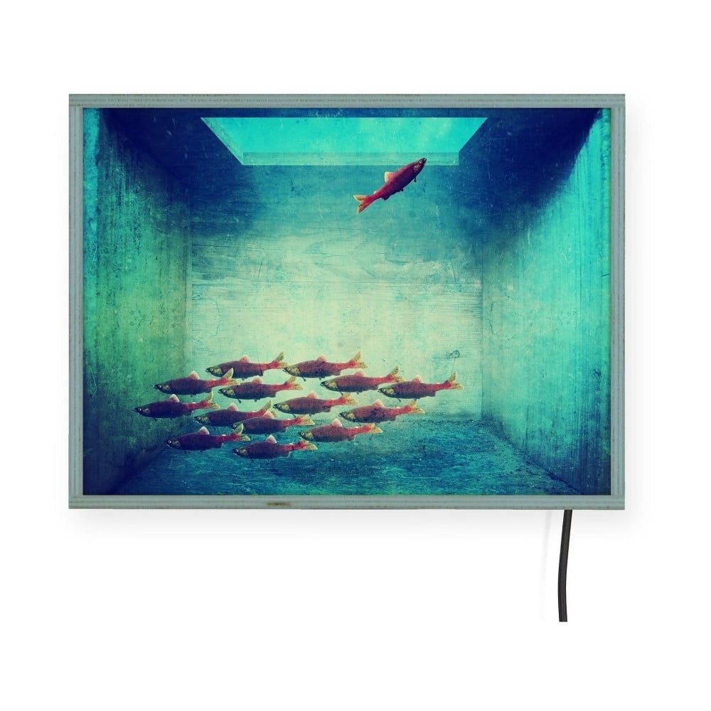 Svetelná nástenná dekorácia Surdic Free Fish, 40 x 30 cm - Bonami.sk