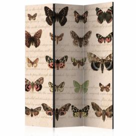 Paraván Retro Style: Butterflies Dekorhome 135x172 cm (3-dielny)