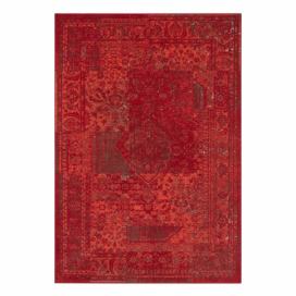 Červený koberec Hanse Home Celebration Garitto, 80 x 150 cm Bonami.sk
