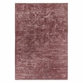 Fialový koberec Asiatic Carpets Abstract, 120 x 170 cm Bonami.sk