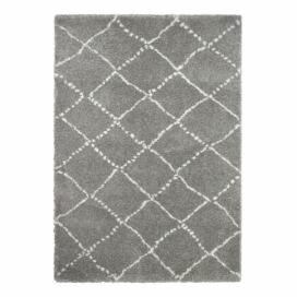 Sivo-krémový koberec Think Rugs Royal Nomadic Grey & Cream, 160 × 230 cm Bonami.sk
