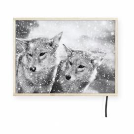 Svetelná nástenná dekorácia s motívmi vlkov Surdic, 40 x 30 cm