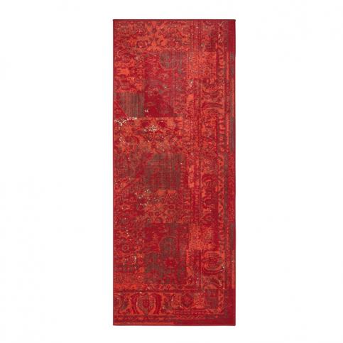 Červený behúň Hanse Home Celebration Garitto, 80 x 250 cm Bonami.sk