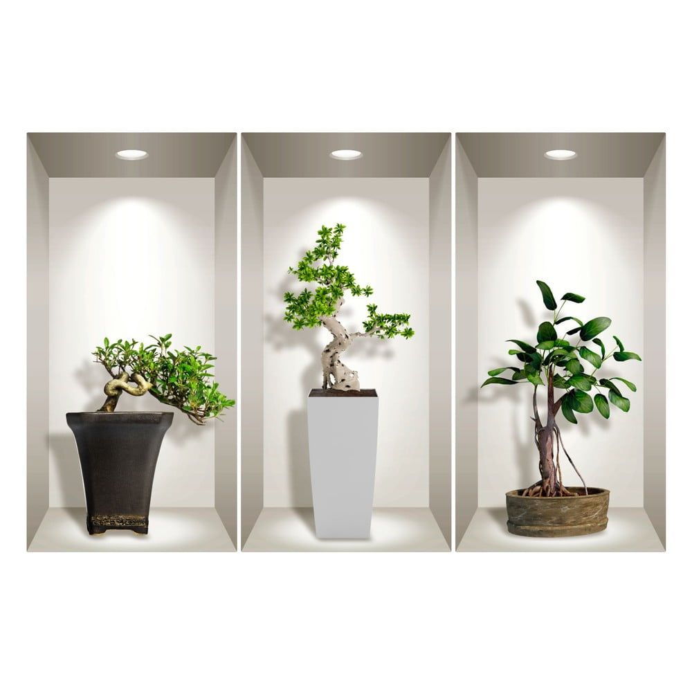 Sada 3 3D samolepiek na stenu Ambiance Bonsai Plants - Bonami.sk