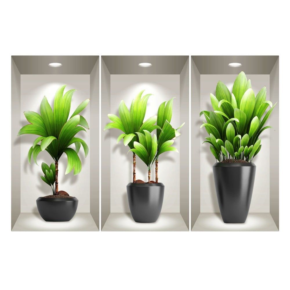 Sada 3 3D samolepiek na stenu Ambiance Exotic Plants - Bonami.sk